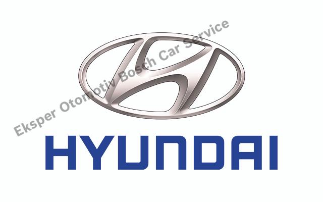 Narlıdere Hyundai Servisi